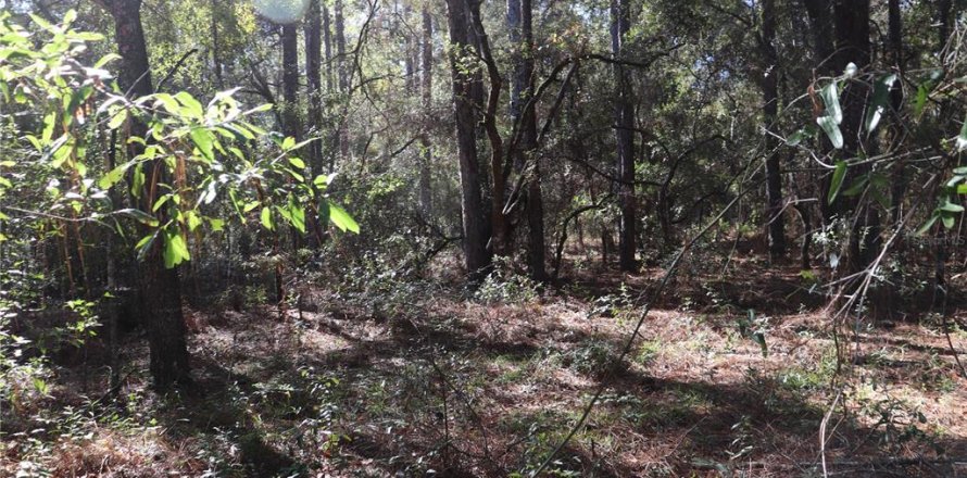Land in Dunnellon, Florida № 2164971