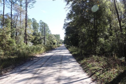 Land in Dunnellon, Florida № 2164971 - photo 6
