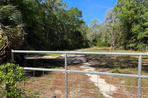 Casa en venta en Homosassa, Florida, 1 dormitorio, 227.42 m2 № 1283583 - foto 15