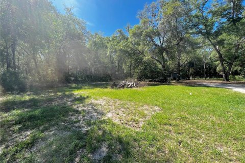 Casa en venta en Homosassa, Florida, 1 dormitorio, 227.42 m2 № 1283583 - foto 13