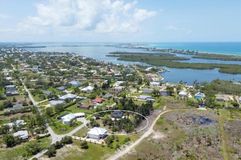 Land in Placida, Florida № 1778214 - photo 2