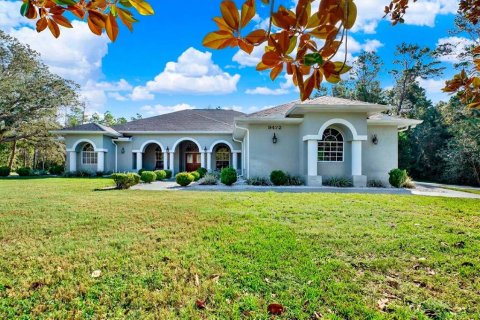 House in Weeki Wachee, Florida 3 bedrooms, 258.27 sq.m. № 2430333 - photo 6