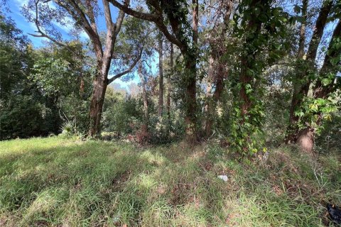 Terreno en venta en Apopka, Florida № 1540346 - foto 3