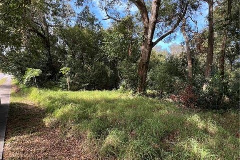 Terreno en venta en Apopka, Florida № 1540346 - foto 4