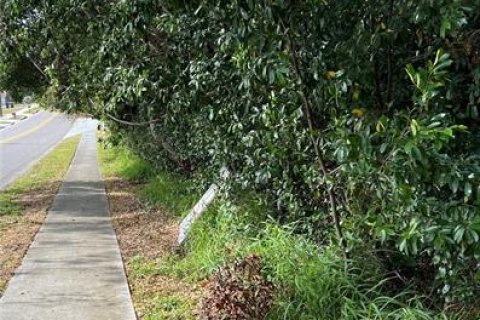 Terreno en venta en Apopka, Florida № 1540346 - foto 2