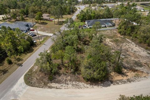 Terrain à Brooksville, Floride № 2135384
