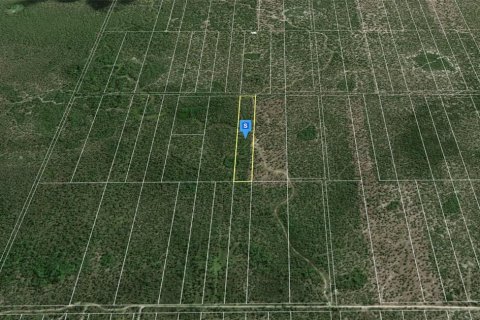 Terrain à vendre à Naples, Floride № 2203351 - photo 2