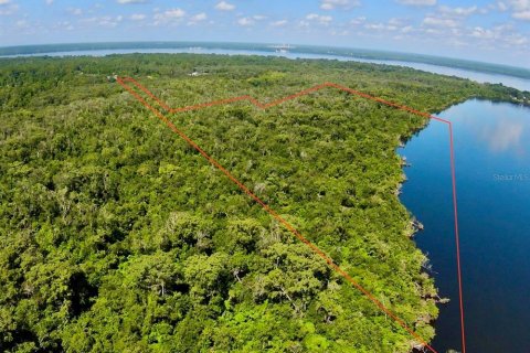 Land in East Palatka, Florida № 1841406 - photo 1