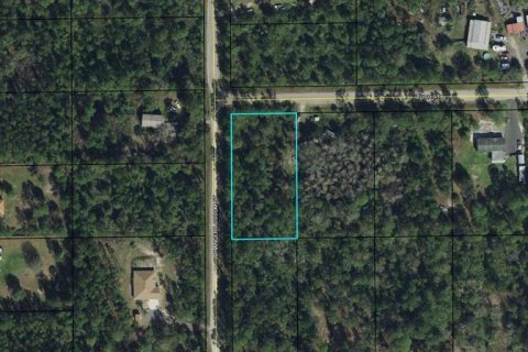 Terrain à Bunnell, Floride № 2235162