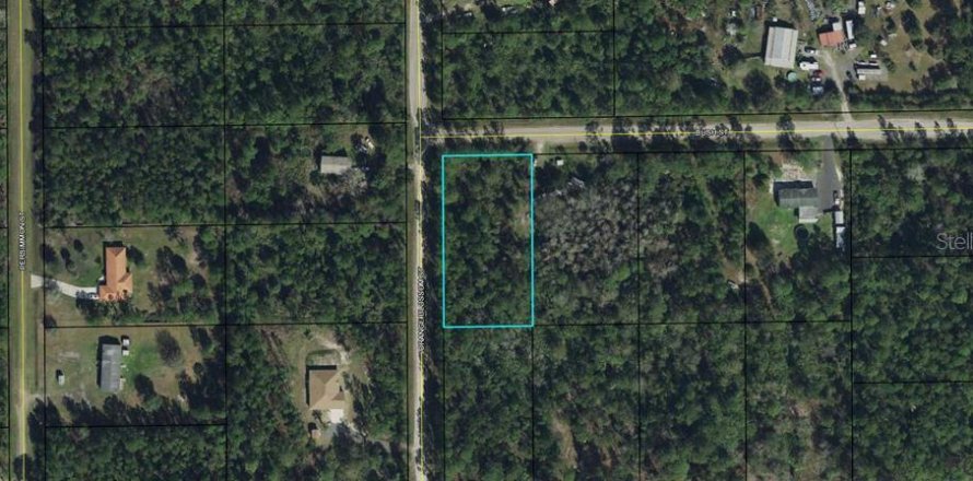 Terrain à Bunnell, Floride № 2235162