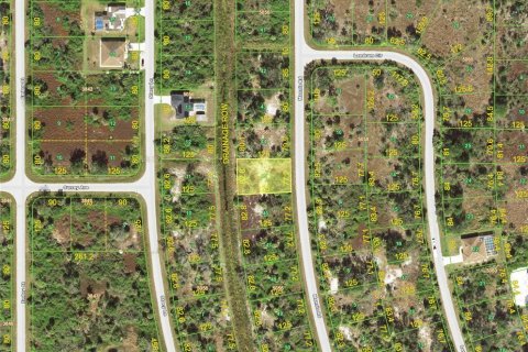 Land in Port Charlotte, Florida № 2162477 - photo 2