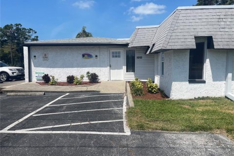 Propiedad comercial en alquiler en Clearwater, Florida, 360.55 m2 № 1806944 - foto 2