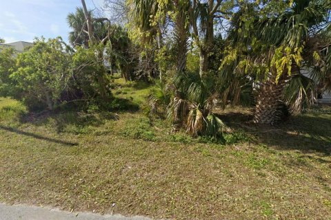Land in Palm Coast, Florida № 1895096 - photo 3