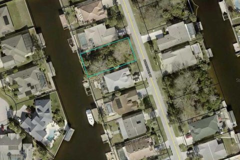 Land in Palm Coast, Florida № 1895096 - photo 1