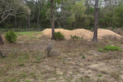 Terreno en venta en Ocklawaha, Florida № 2213592 - foto 3