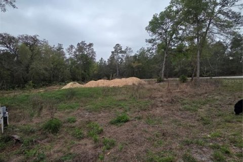 Terreno en venta en Ocklawaha, Florida № 2213592 - foto 5