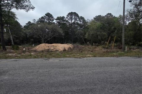 Terreno en venta en Ocklawaha, Florida № 2213592 - foto 9