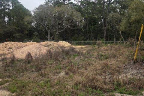 Terreno en venta en Ocklawaha, Florida № 2213592 - foto 4