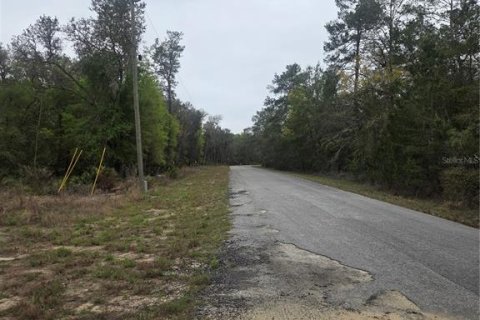 Terreno en venta en Ocklawaha, Florida № 2213592 - foto 6