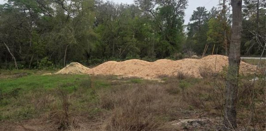 Terreno en Ocklawaha, Florida № 2213592
