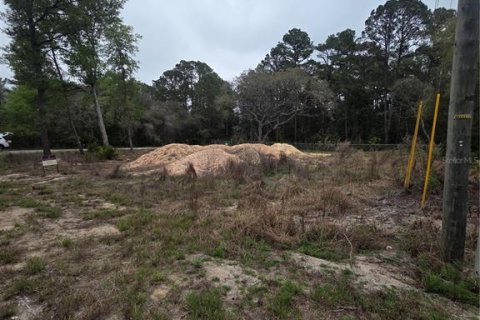 Terreno en venta en Ocklawaha, Florida № 2213592 - foto 2