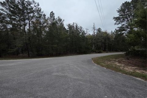 Terreno en venta en Ocklawaha, Florida № 2213592 - foto 8