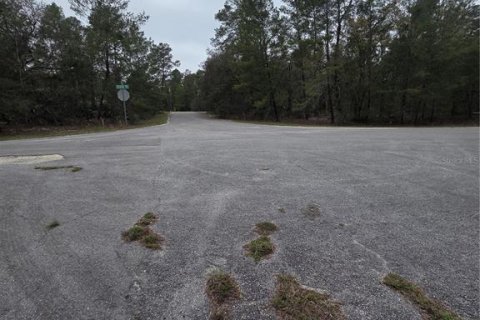 Terreno en venta en Ocklawaha, Florida № 2213592 - foto 7