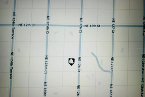 Land in Williston, Florida № 2163887 - photo 2