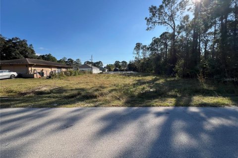Land in Palm Bay, Florida № 2206002 - photo 2