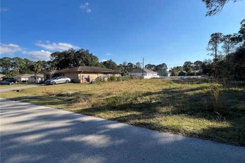 Land in Palm Bay, Florida № 2206002 - photo 3