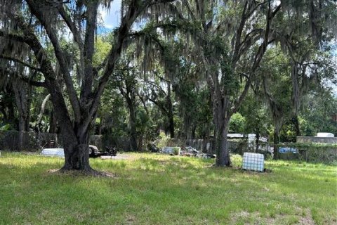 Land in Plant City, Florida № 2228049 - photo 4