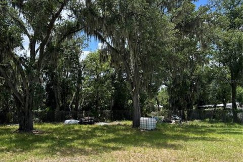 Land in Plant City, Florida № 2228049 - photo 5