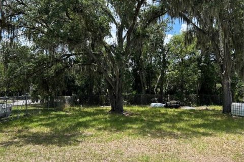 Land in Plant City, Florida № 2228049 - photo 3