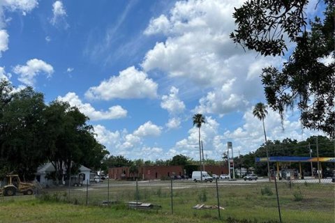 Land in Plant City, Florida № 2228049 - photo 7