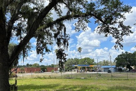 Land in Plant City, Florida № 2228049 - photo 6