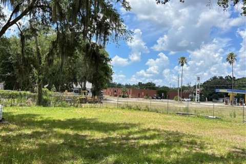 Land in Plant City, Florida № 2228049 - photo 2