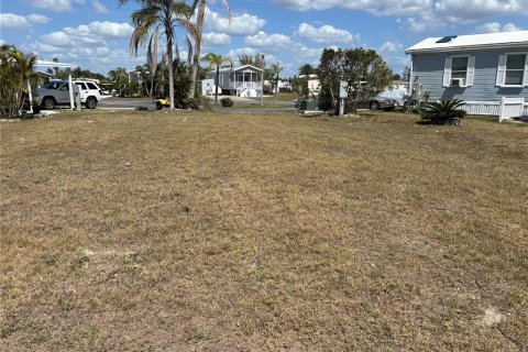 Land in Port Charlotte, Florida № 2162731 - photo 3