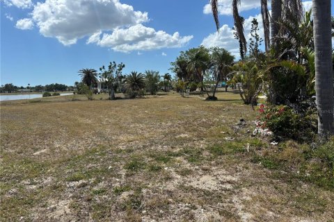 Land in Port Charlotte, Florida № 2162731 - photo 4