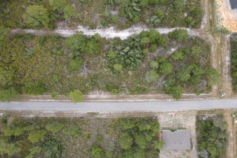 Land in Sebring, Florida № 2099607 - photo 7