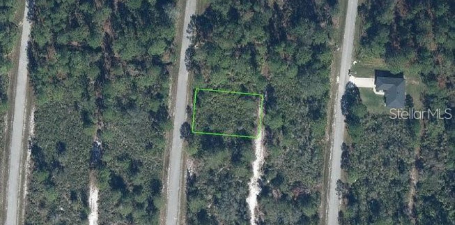 Terrain à Sebring, Floride № 2099607