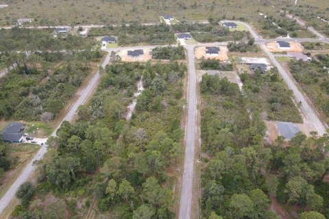 Land in Sebring, Florida № 2099607 - photo 5