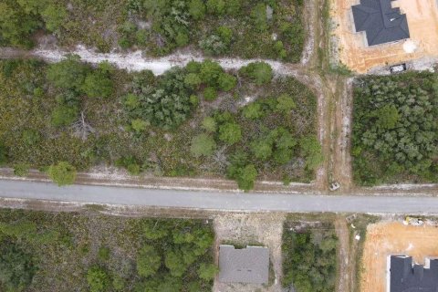 Land in Sebring, Florida № 2099607 - photo 8
