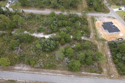Land in Sebring, Florida № 2099607 - photo 9