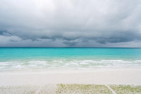 Condo in Clearwater, Florida, 2 bedrooms  № 2338879 - photo 12