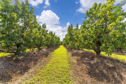 House in Miami, Florida 3 bedrooms, 224.45 sq.m. № 1994554 - photo 7