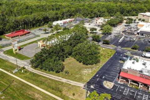 Land in Spring Hill, Florida № 1895028 - photo 3