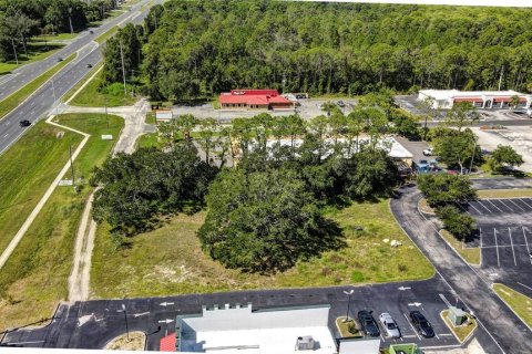 Land in Spring Hill, Florida № 1895028 - photo 5