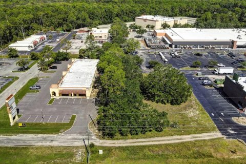 Land in Spring Hill, Florida № 1895028 - photo 4