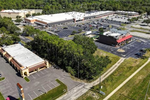Land in Spring Hill, Florida № 1895028 - photo 10