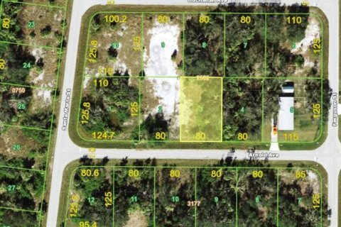 Land in Port Charlotte, Florida № 2160402